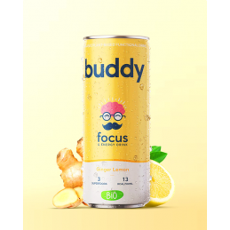 Buddy Ginger Lemon (24 x 25cl)